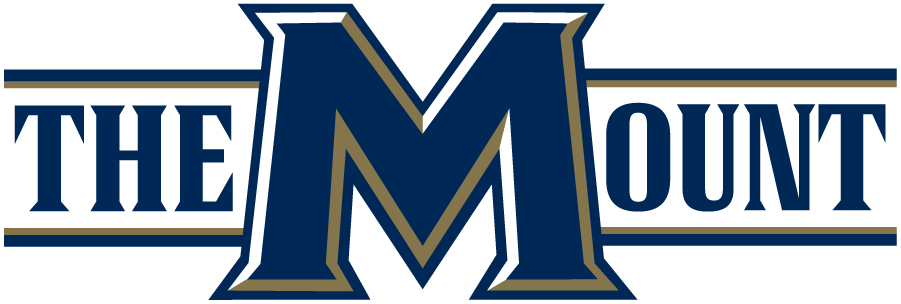Mount St. Marys Mountaineers 2016-Pres Wordmark Logo iron on transfers for T-shirts